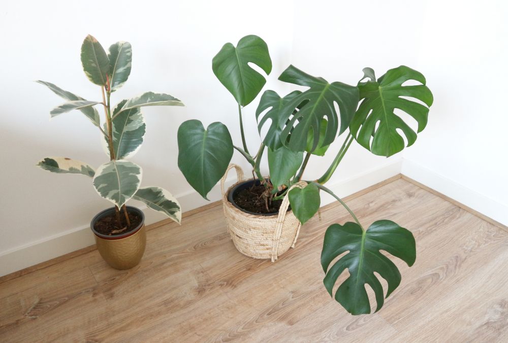 Overprikkeld brein helen