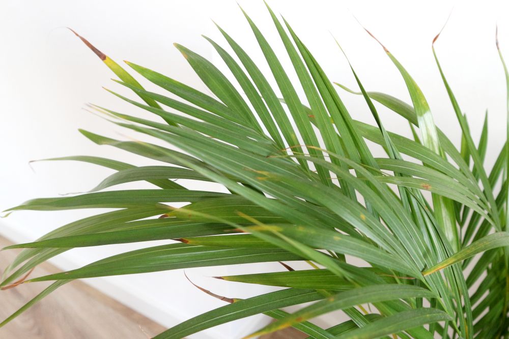 Verbonden met de natuur